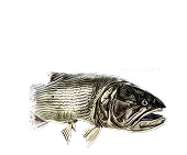 Logo Piracuá Lodge